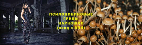 прущая мука Алзамай